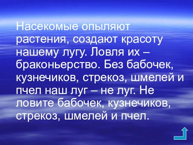 Насекомые опыляют растения, создают красоту нашему лугу. Ловля их – браконьерство. Без