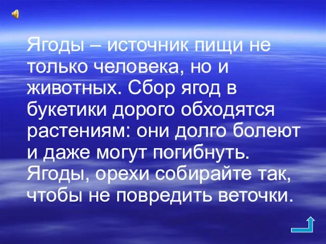 Ягоды – источник пищи не только человека, но и животных. Сбор ягод