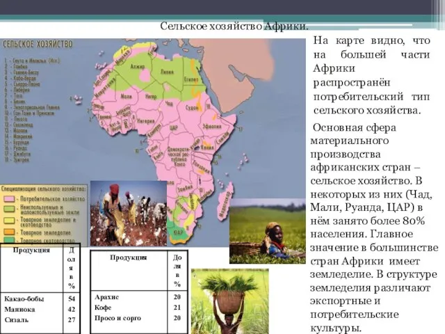 Сельское хозяйство Африки. На карте видно, что на большей части Африки распространён