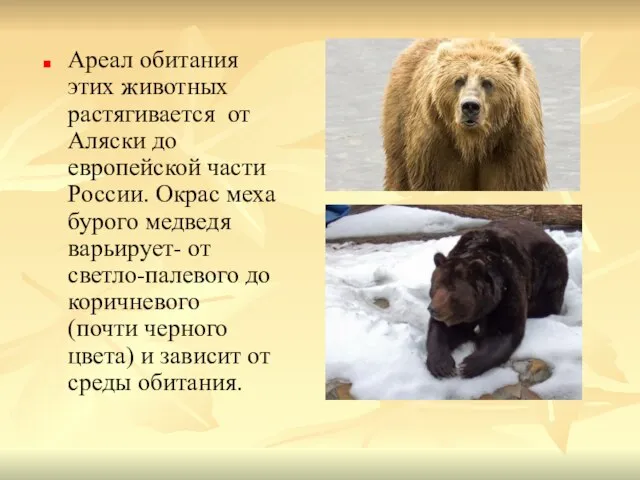 Ареал обитания этих животных растягивается от Аляски до европейской части России. Окрас