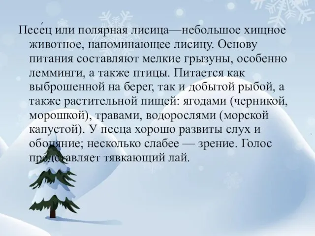 Песе́ц или полярная лисица—небольшое хищное животное, напоминающее лисицу. Основу питания составляют мелкие