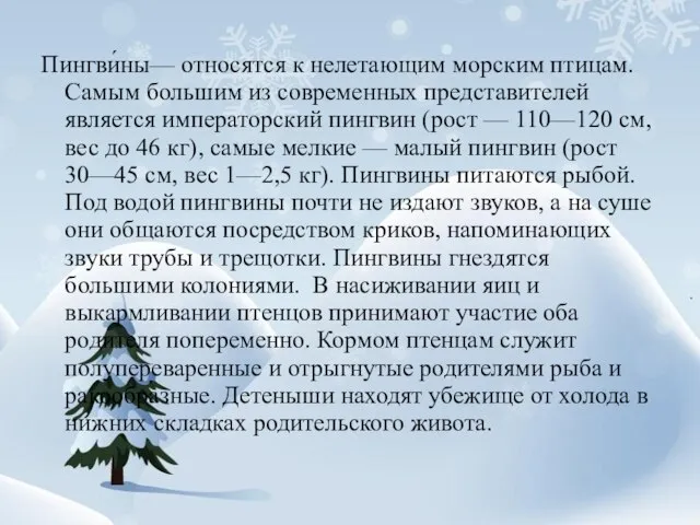 Пингви́ны— относятся к нелетающим морским птицам. Самым большим из современных представителей является