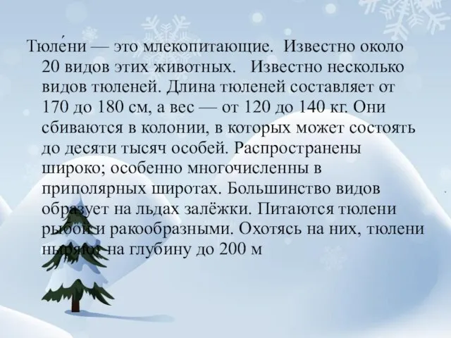 Тюле́ни — это млекопитающие. Известно около 20 видов этих животных. Известно несколько