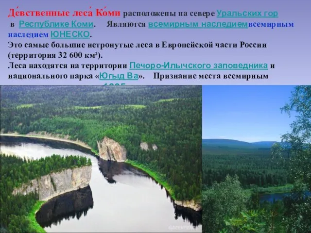 Де́вственные леса́ Ко́ми расположены на севере Уральских гор в Республике Коми. Являются