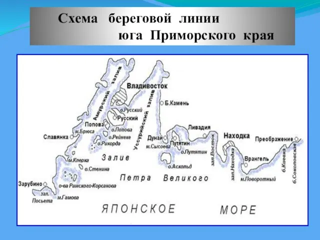 Схема береговой линии юга Приморского края