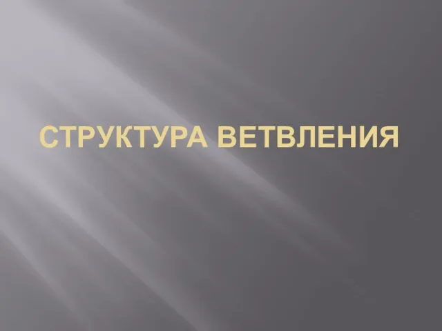 Презентация на тему Ветвление с помощью языка программирования Паскаль