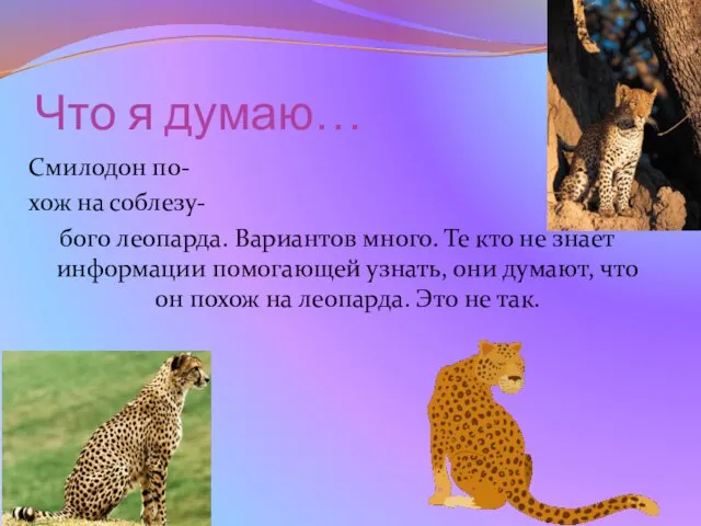 Что я думаю… Смилодон по- хож на соблезу- бого леопарда. Вариантов много.