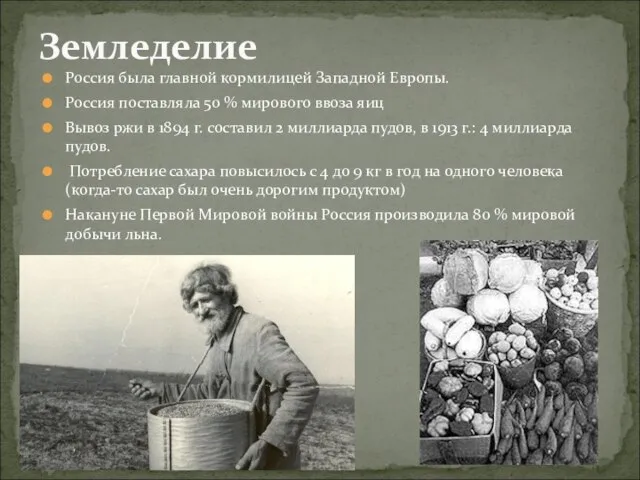 Россия была главной кормилицей Западной Европы. Россия поставляла 50 % мирового ввоза