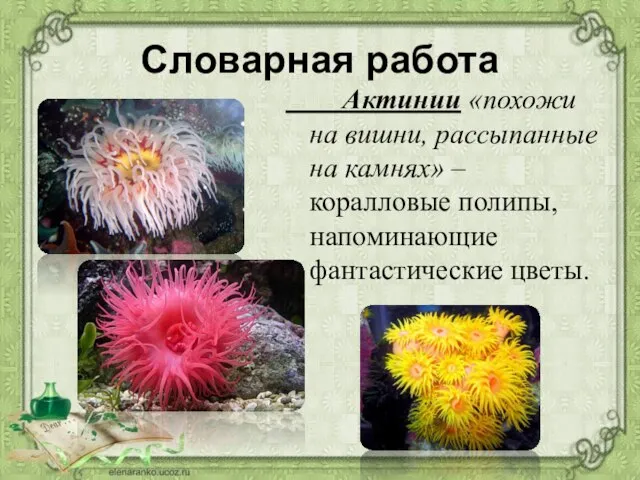 Словарная работа Актинии «похожи на вишни, рассыпанные на камнях» – коралловые полипы, напоминающие фантастические цветы.