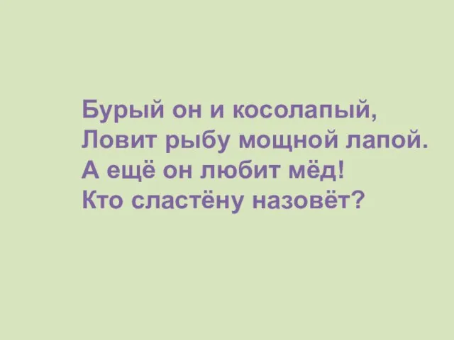 Бурый он и косолапый, Ловит рыбу мощной лапой. А ещё он любит мёд! Кто сластёну назовёт?