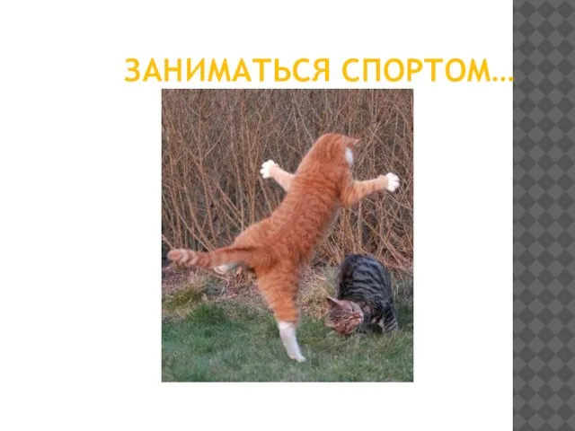 ЗАНИМАТЬСЯ СПОРТОМ…