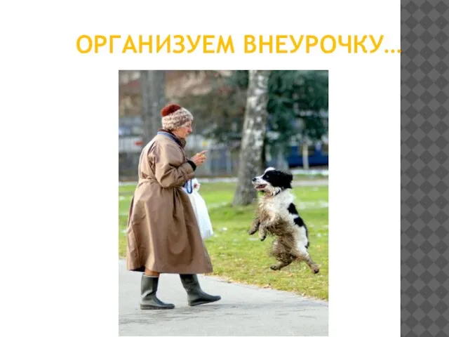 ОРГАНИЗУЕМ ВНЕУРОЧКУ…