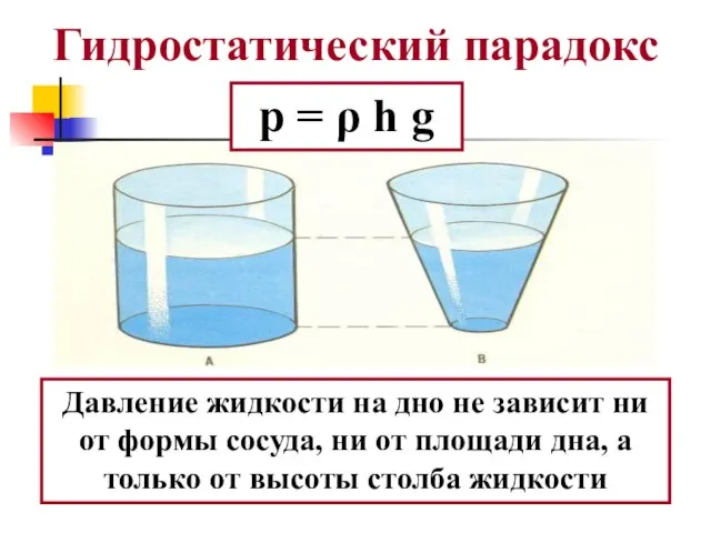 Гидростатический парадокс Давление жидкости на дно не зависит ни от формы сосуда,
