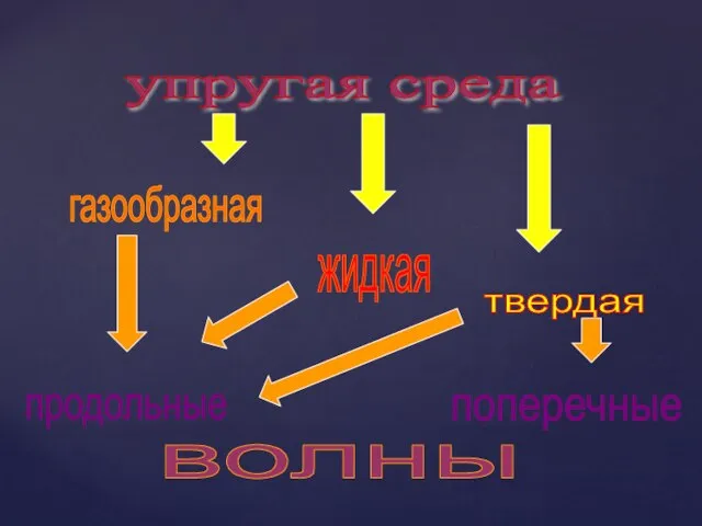 упругая среда твердая жидкая газообразная продольные поперечные волны