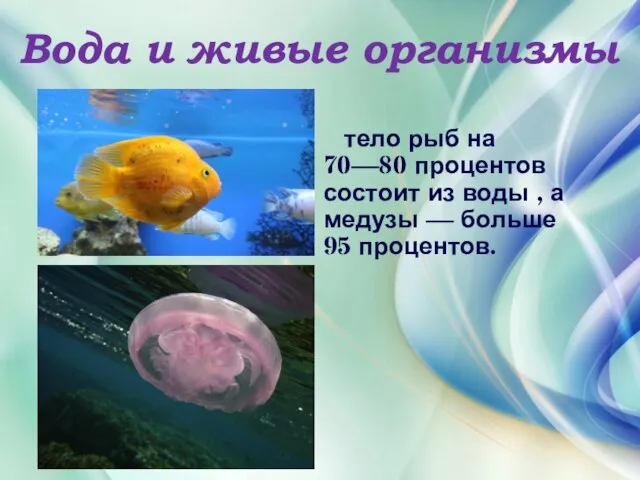 Вода и живые организмы тело рыб на 70—80 процентов состоит из воды