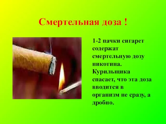 Смертельная доза ! 1-2 пачки сигарет содержат смертельную дозу никотина. Курильщика спасает,