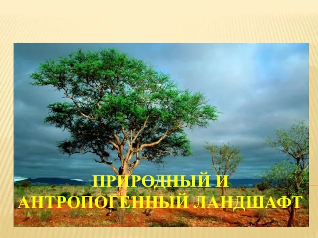 Презентация на тему Природный и антропогенный ландшафт