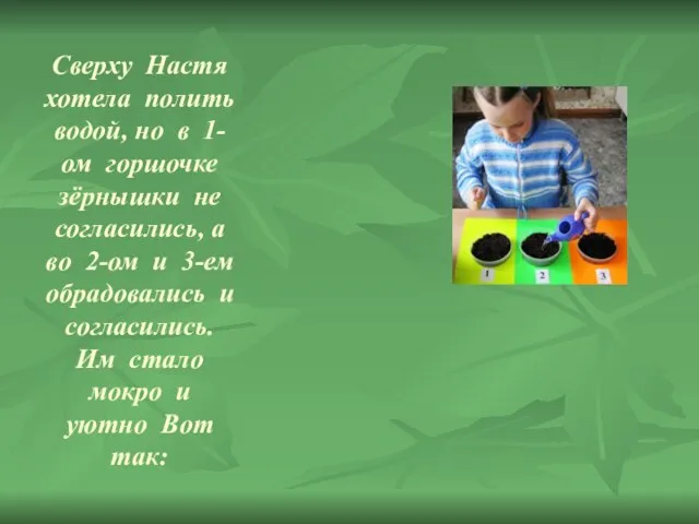 Сверху Настя хотела полить водой, но в 1-ом горшочке зёрнышки не согласились,