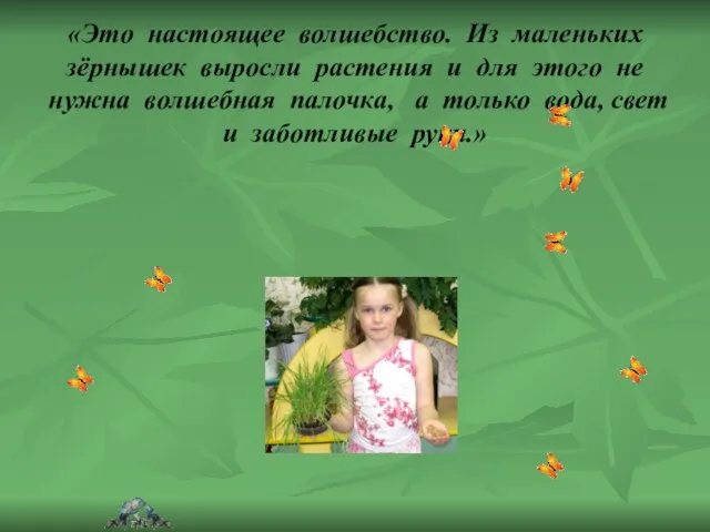 «Это настоящее волшебство. Из маленьких зёрнышек выросли растения и для этого не