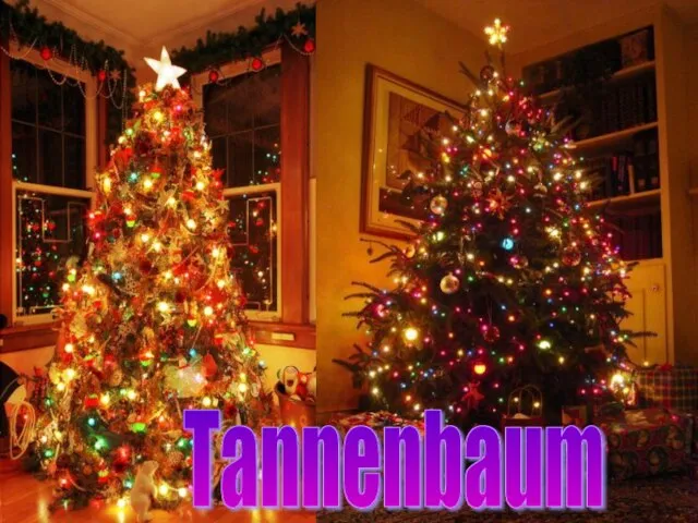 Tannenbaum