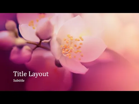 Шаблон для презентации Cherry blossom nature presentation (widescreen)