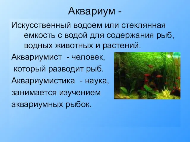 Аквариум - Искусственный водоем или стеклянная емкость с водой для содержания рыб,
