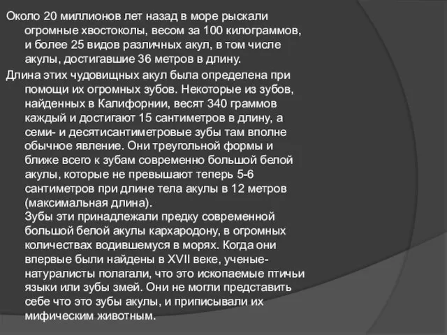 Около 20 миллионов лет назад в море рыскали огромные хвостоколы, весом за