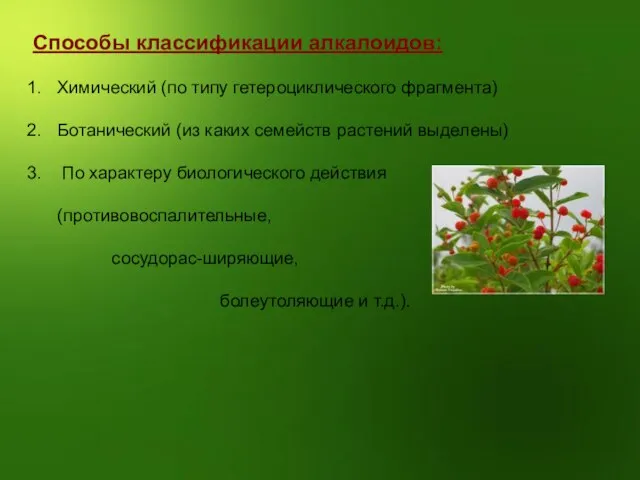 Способы классификации алкалоидов: Химический (по типу гетероциклического фрагмента) Ботанический (из каких семейств
