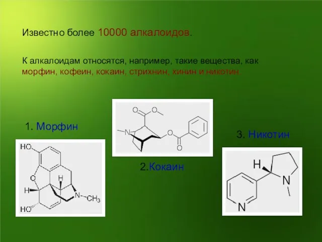 К алкалоидам относятся, например, такие вещества, как морфин, кофеин, кокаин, стрихнин, хинин