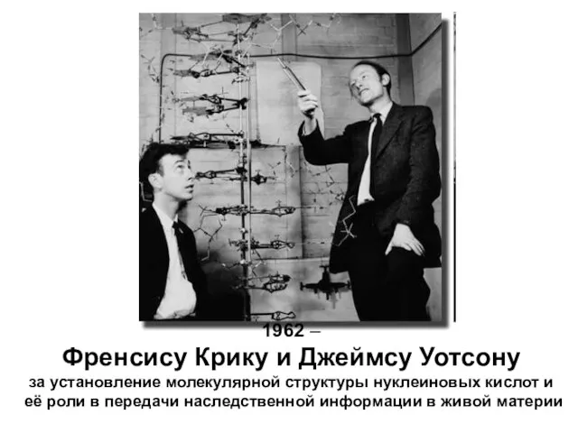 1962 – Френсису Крику и Джеймсу Уотсону за установление молекулярной структуры нуклеиновых