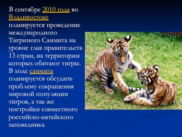 В сентябре 2010 года во Владивостоке планируется проведение международного Тигриного Саммита на
