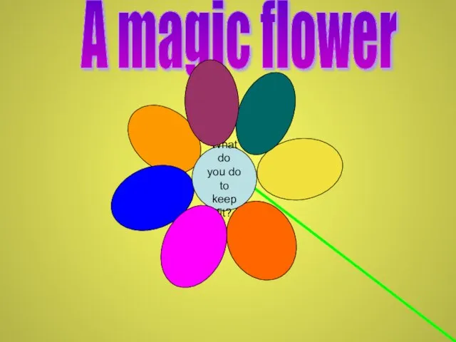 What do you do to keep fit? A magic flower