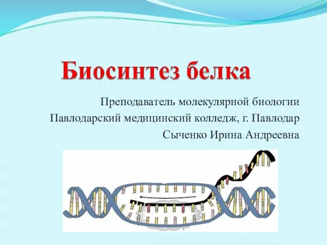 Презентация на тему Биосинтез белка механизмы