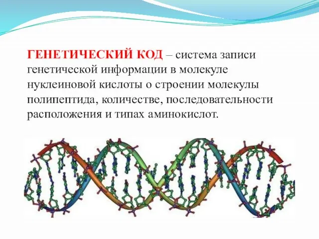 ГЕНЕТИЧЕСКИЙ КОД – система записи генетической информации в молекуле нуклеиновой кислоты о