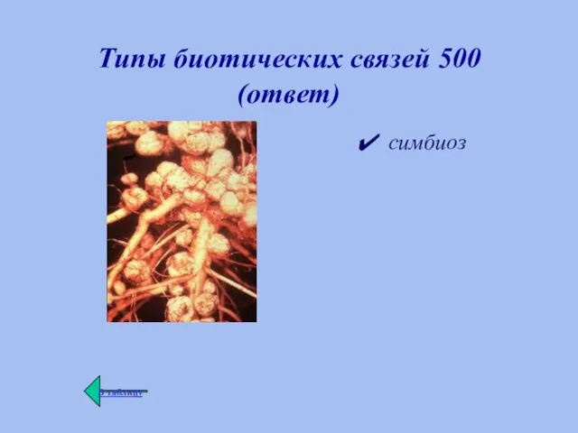 Типы биотических связей 500 (ответ) симбиоз