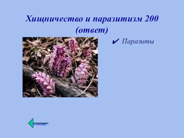 Хищничество и паразитизм 200 (ответ) Паразиты