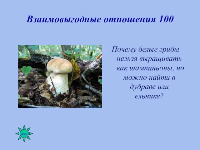 Взаимовыгодные отношения 100 Почему белые грибы нельзя выращивать как шампиньоны, но можно