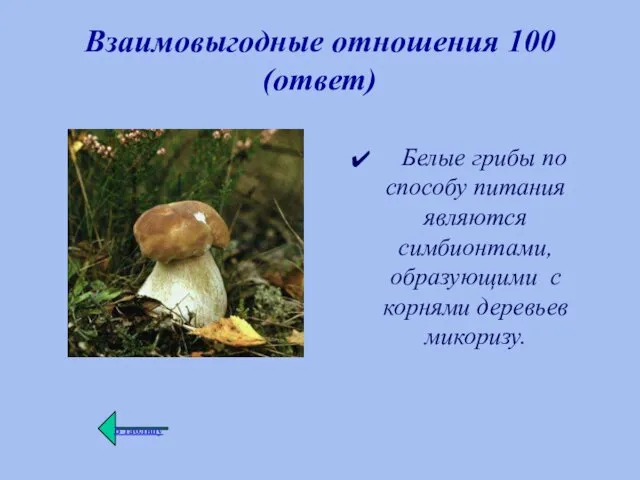 Взаимовыгодные отношения 100 (ответ) Белые грибы по способу питания являются симбионтами, образующими с корнями деревьев микоризу.