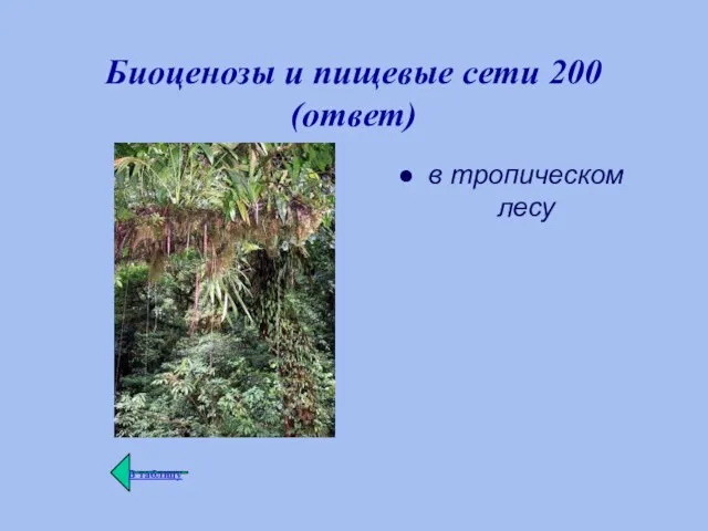 Биоценозы и пищевые сети 200 (ответ) в тропическом лесу