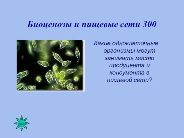 Биоценозы и пищевые сети 300 Какие одноклеточные организмы могут занимать место продуцента
