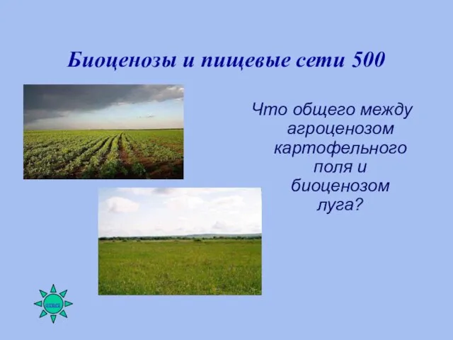 Биоценозы и пищевые сети 500 Что общего между агроценозом картофельного поля и биоценозом луга?