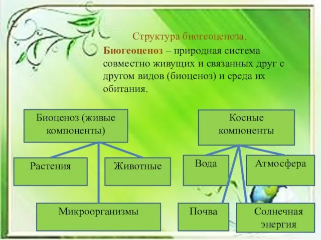 Биогеоценоз – природная система совместно живущих и связанных друг с другом видов