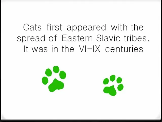 Cats first appeared with the spread of Eastern Slavic tribes. It was in the VI-IX centuries