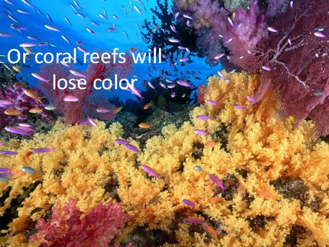 Or coral reefs will lose color