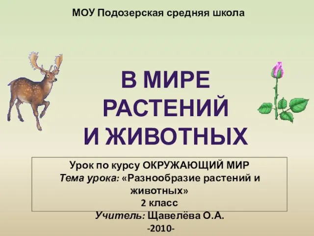 Урок по курсу ОКРУЖАЮЩИЙ МИР Тема урока: «Разнообразие растений и животных» 2