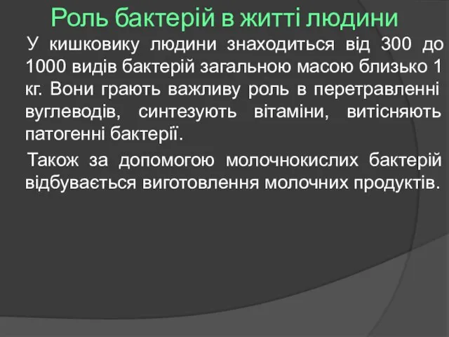 Роль бактерій в житті людини У кишковику людини знаходиться від 300 до