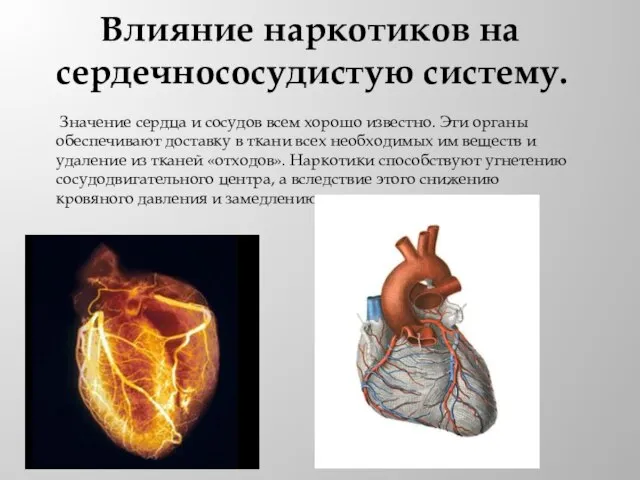 Влияние наркотиков на сердечнососудистую систему. Значение сердца и сосудов всем хорошо известно.