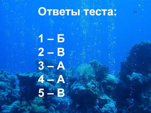 Ответы теста: 1 – Б 2 – В 3 – А 4