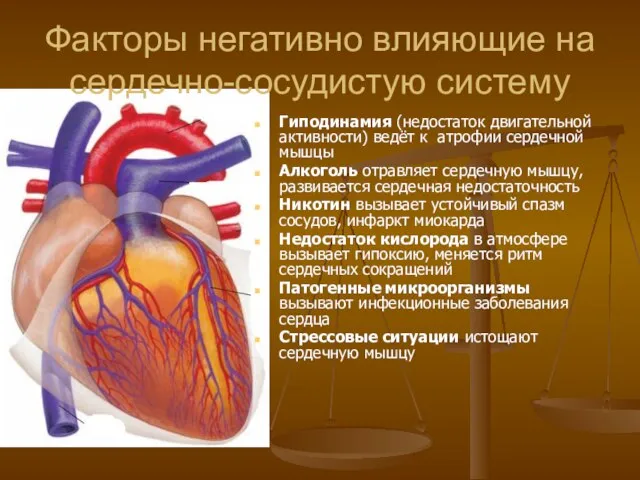 Факторы негативно влияющие на сердечно-сосудистую систему Гиподинамия (недостаток двигательной активности) ведёт к