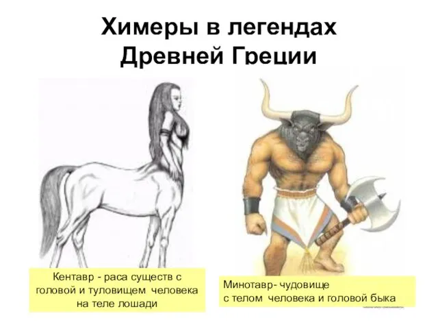 Химеры в легендах Древней Греции Кентавр - раса существ с головой и